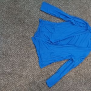 Blue town cat, small cardigan